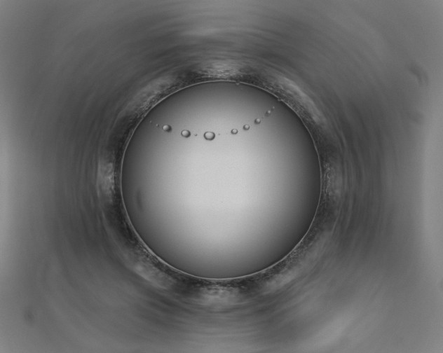 X0000112520549200908171357