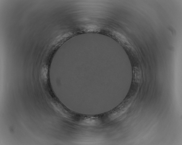 X0000112520550200908171357