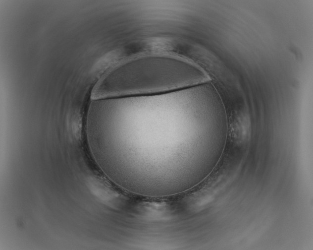 X0000112520552200908171357