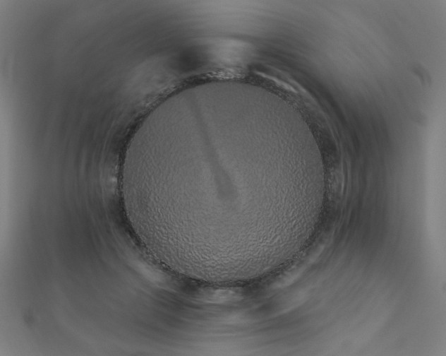 X0000112520553200908171357