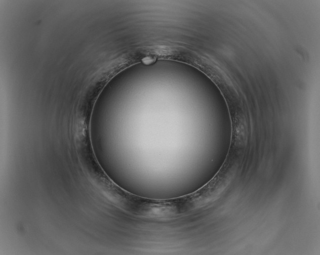 X0000112520555200908171357