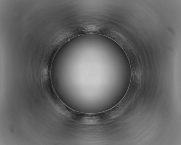 X0000112520556200908171357