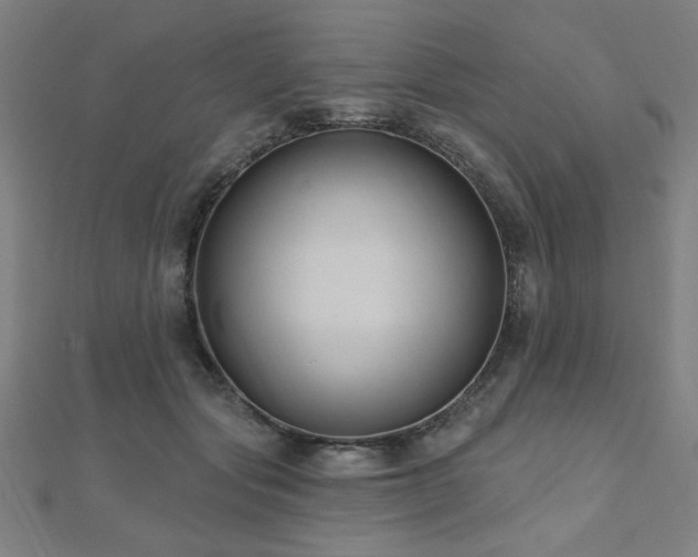 X0000112520557200908171357
