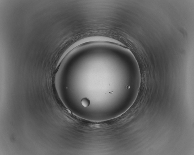 X0000112520558200908171357