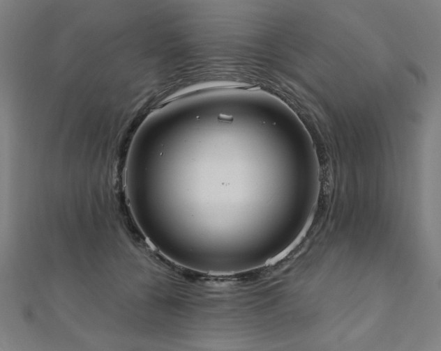 X0000112520560200908171357