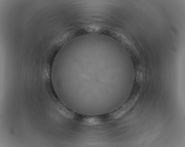 X0000112520561200908171357