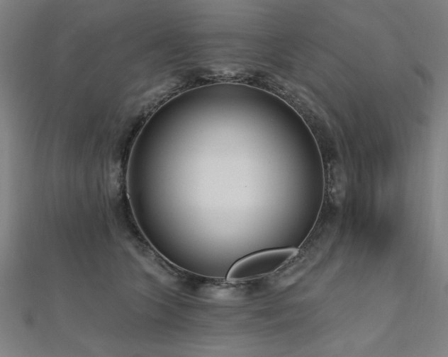 X0000112520563200908171357