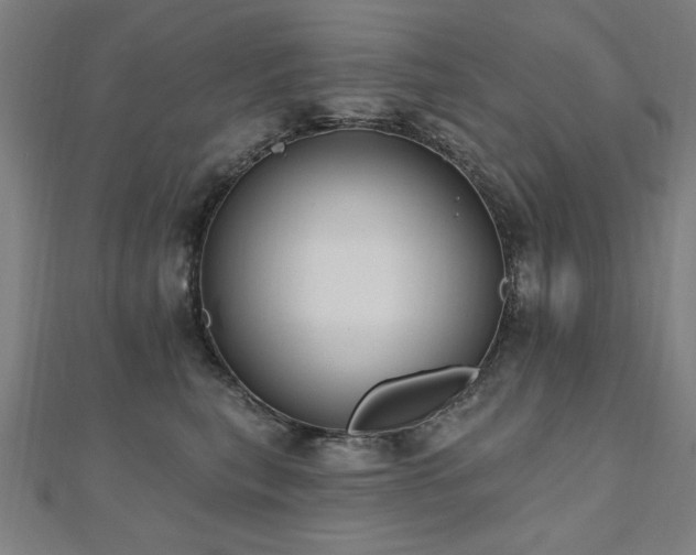 X0000112520567200908171357