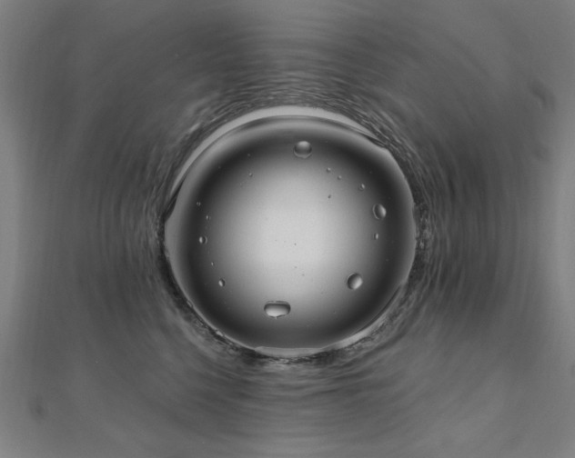 X0000112520568200908171357