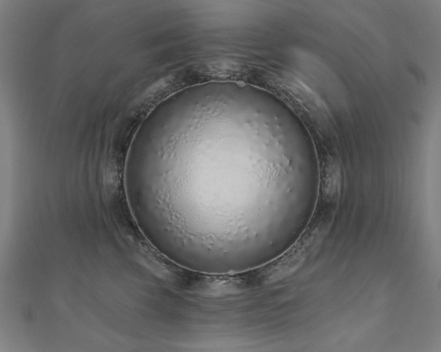 X0000112520569200908171357