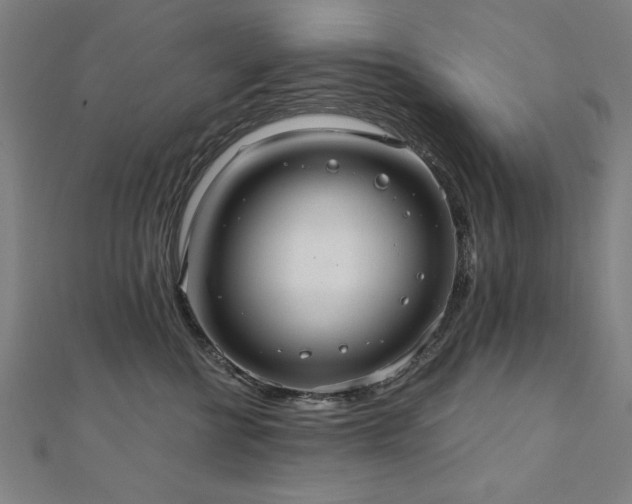 X0000112520570200908171357