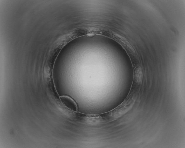 X0000112520571200908171357