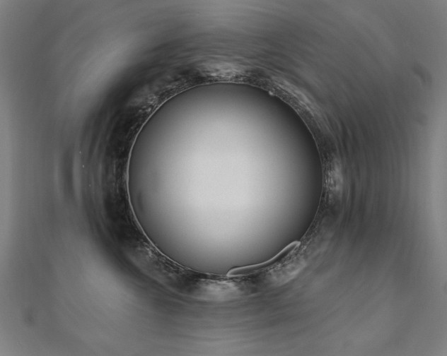 X0000112520572200908171357