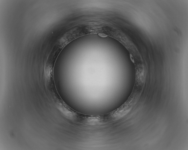 X0000112520574200908171357