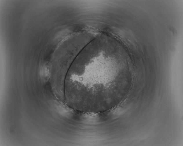 X0000112520576200908171357