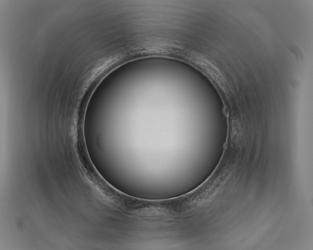 X0000112520578200908171356