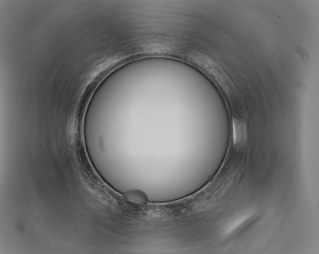 X0000112520579200908171356