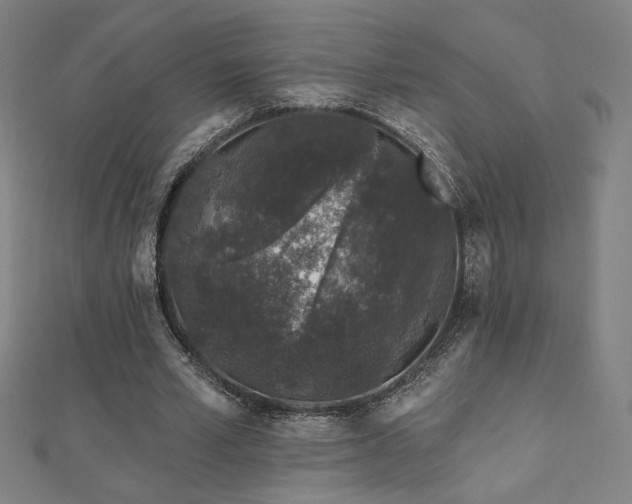 X0000112520581200908171356