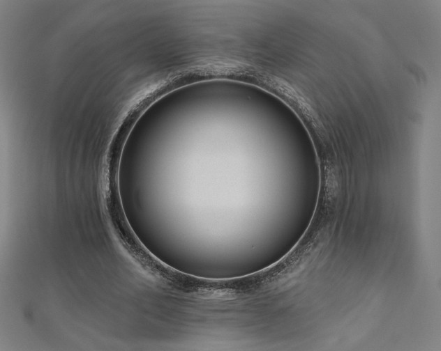 X0000112520582200908171356