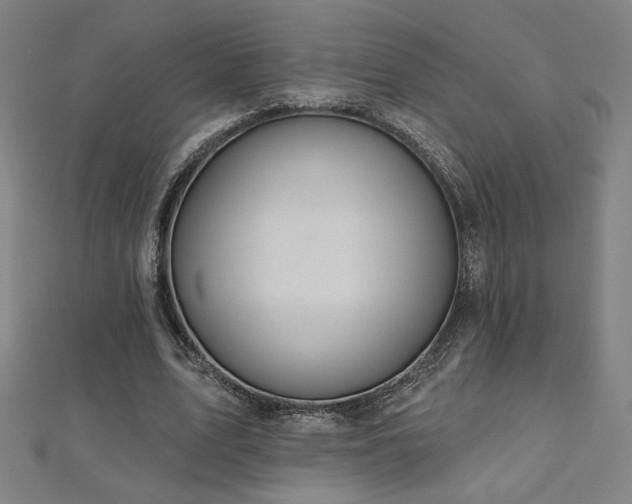 X0000112520583200908171356