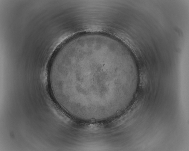 X0000112520584200908171356