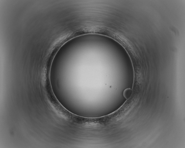 X0000112520586200908171356