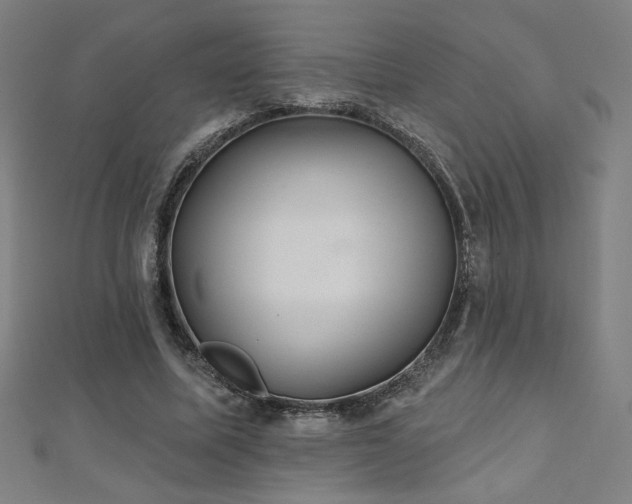 X0000112520587200908171356