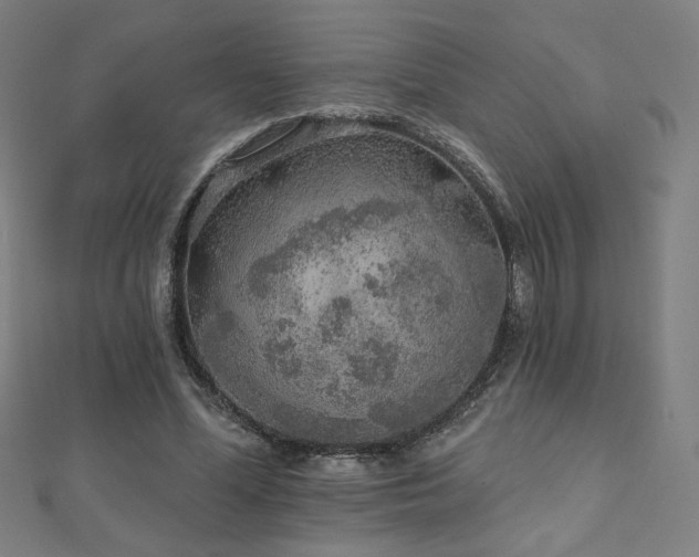 X0000112520588200908171356
