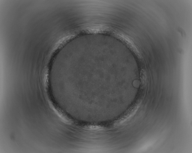 X0000112520590200908171356