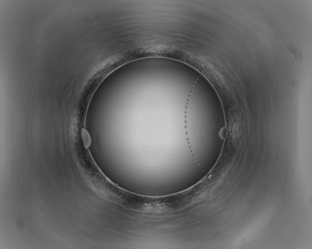 X0000112520591200908171356