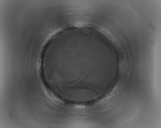 X0000112520592200908171356