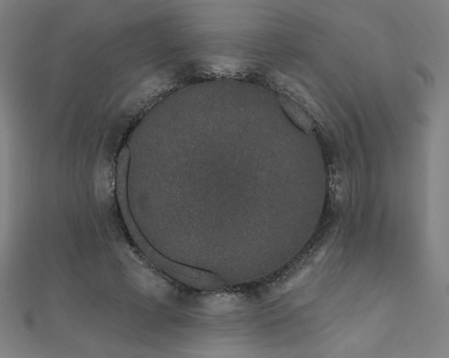X0000112520593200908171356