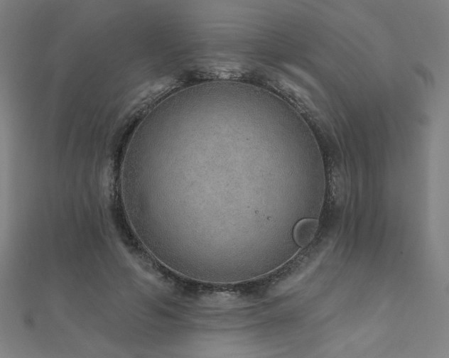 X0000112520594200908171356