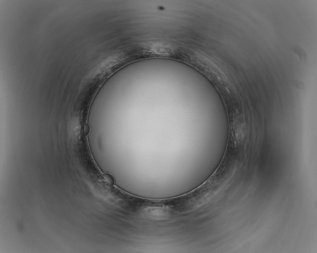 X0000112520595200908171356