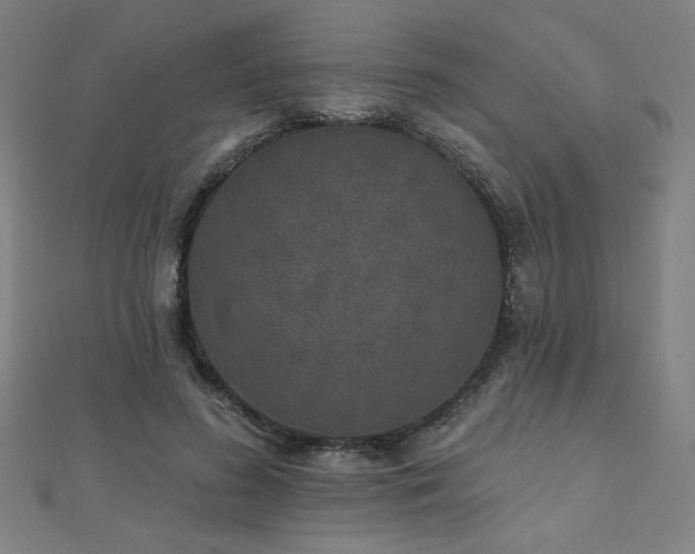 X0000112520596200908171356