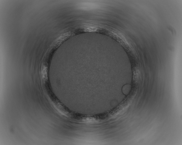 X0000112520598200908171356
