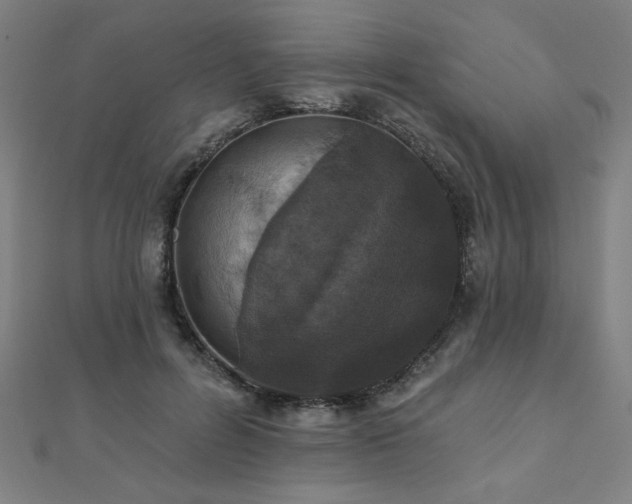X0000112520600200908171356