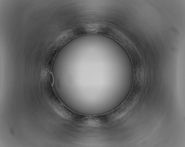 X0000112520601200908171356