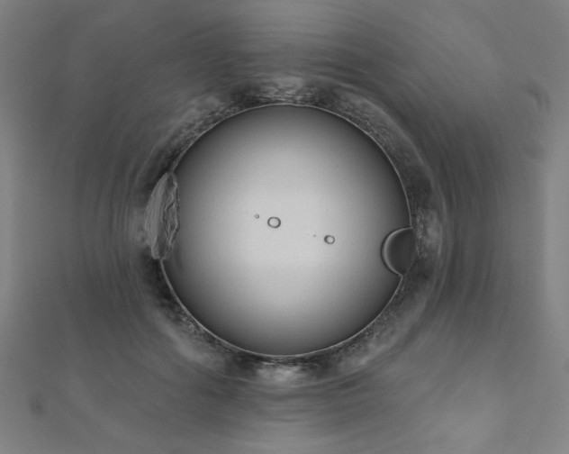 X0000112520602200908171356