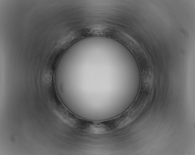 X0000112520603200908171356
