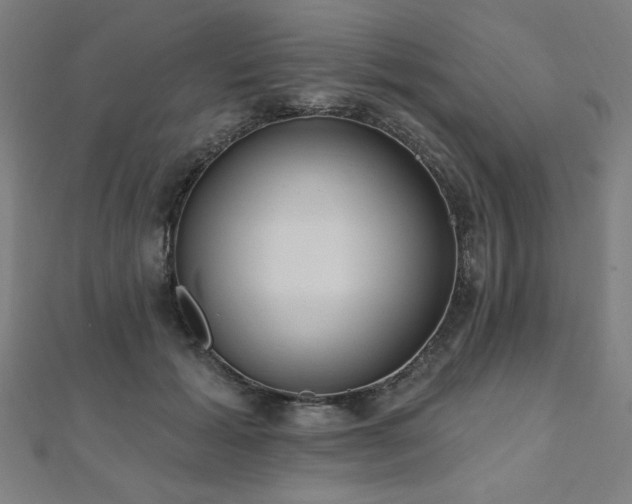 X0000112520605200908171356