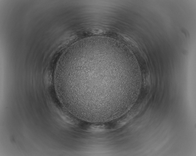 X0000112520606200908171356