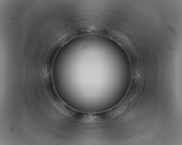 X0000112520607200908171356