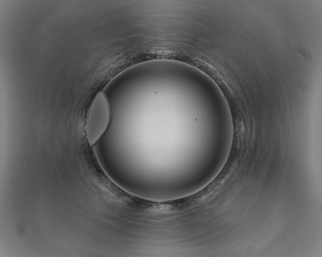 X0000112520609200908171356
