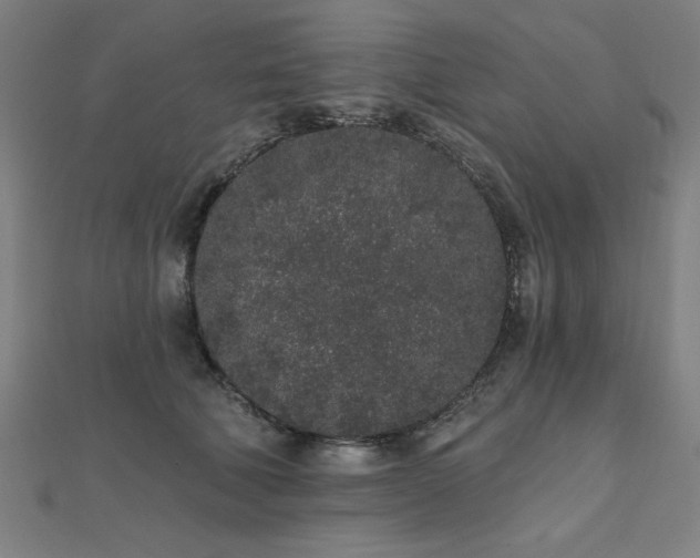 X0000112520610200908171356