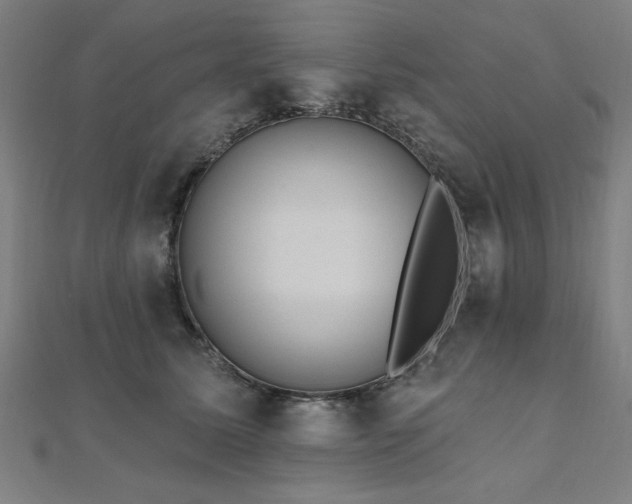 X0000112520611200908171356