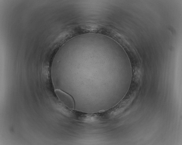 X0000112520612200908171356