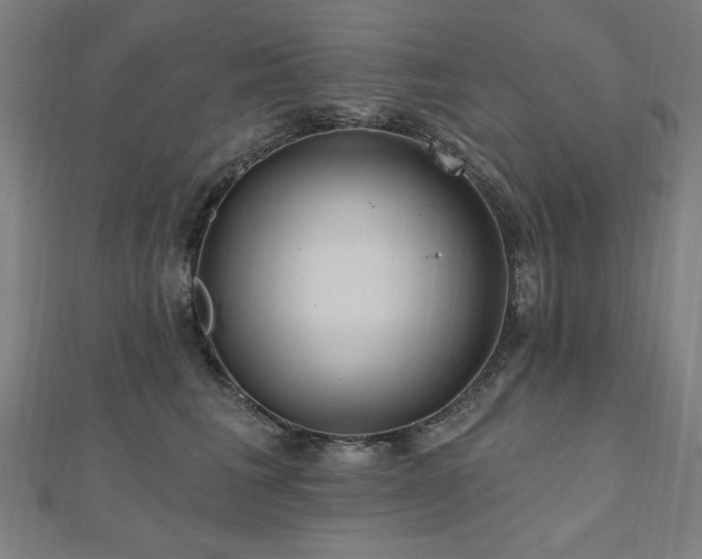 X0000112520613200908171356