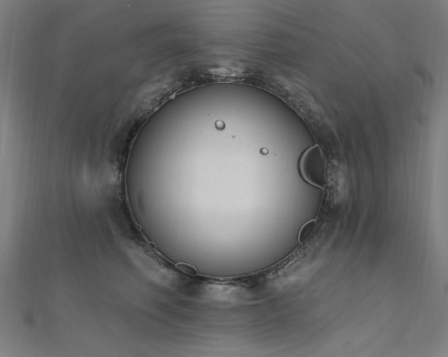 X0000112520614200908171356