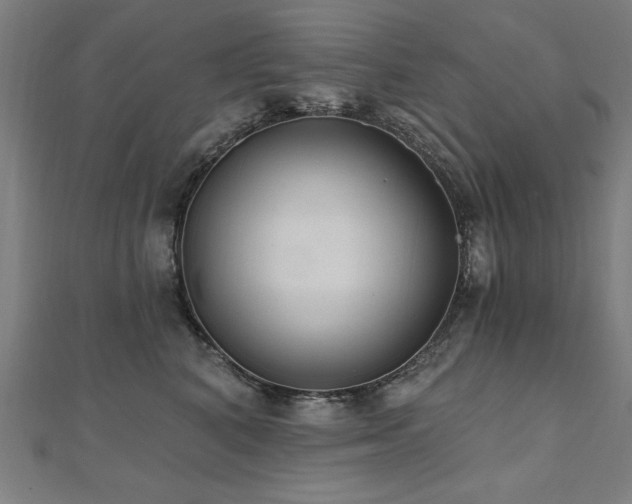 X0000112520616200908171356